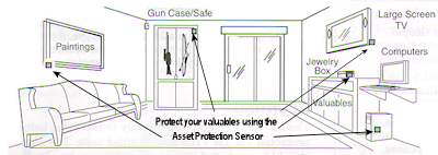 Asset protection